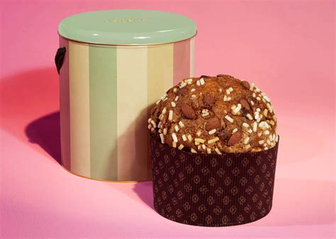 gucci bottura panettone